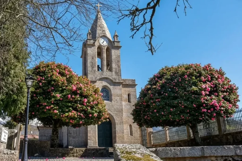 Iglesia de Covide
