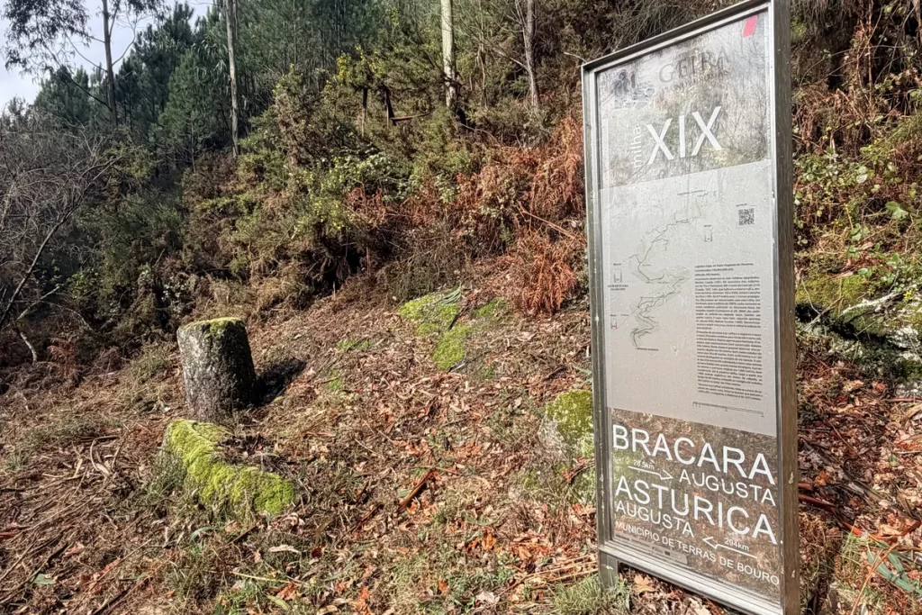 Miliarios de la milla XIX