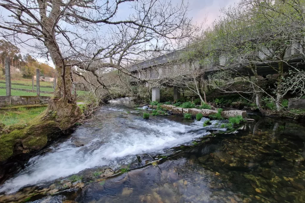 Río Umia